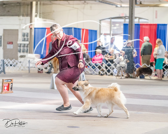 20240331-DSC05671