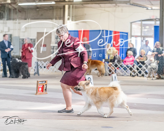 20240331-DSC05675