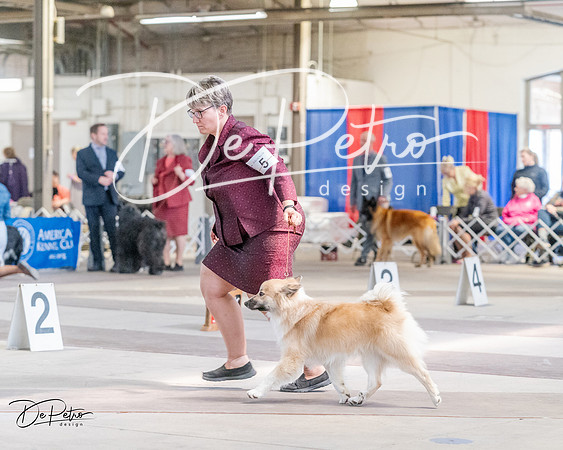 20240331-DSC05678