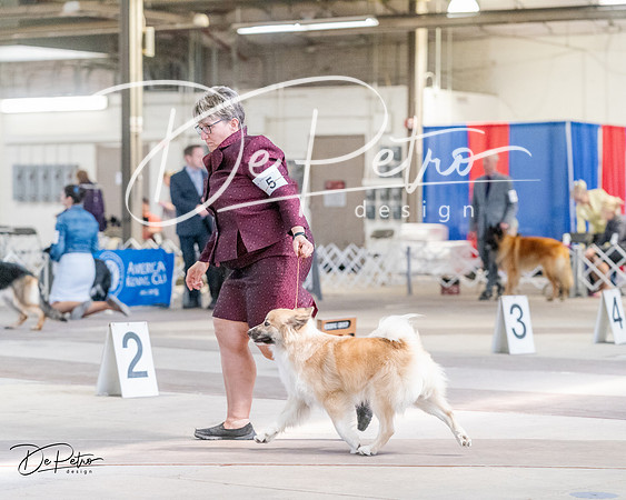 20240331-DSC05681
