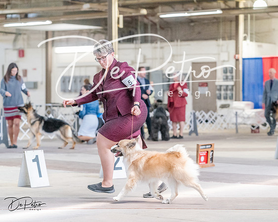 20240331-DSC05685