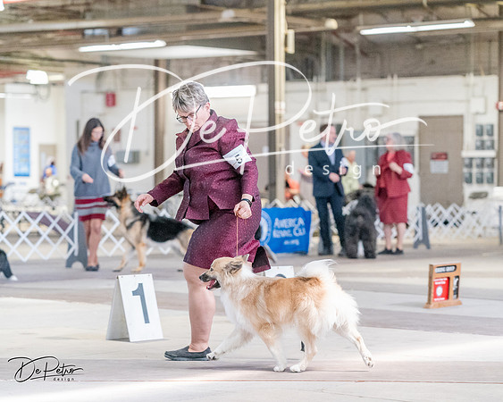 20240331-DSC05688