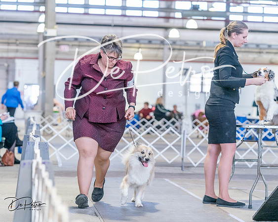 20240331-DSC05697