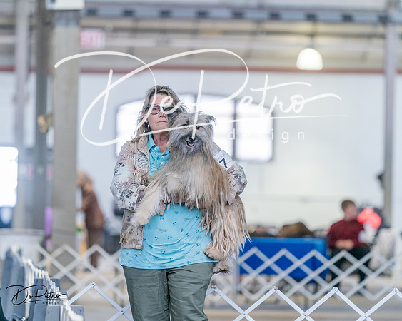 20240331-DSC05767