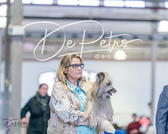 20240331-DSC05772