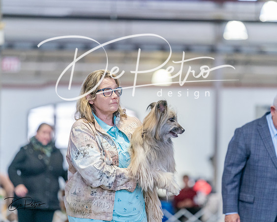 20240331-DSC05776