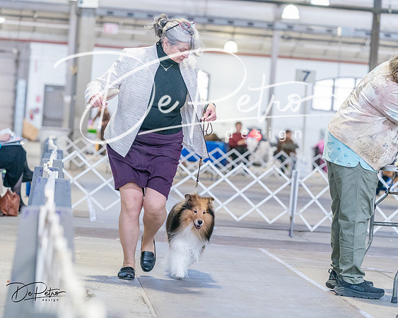20240331-DSC05804