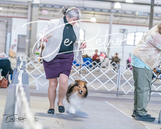 20240331-DSC05805