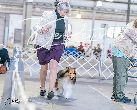 20240331-DSC05808