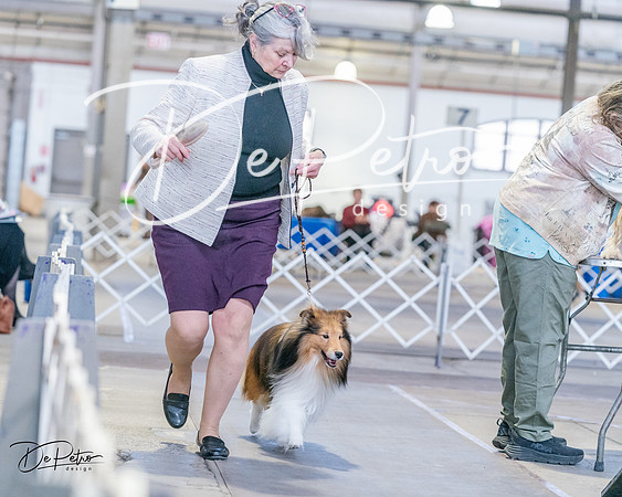 20240331-DSC05811