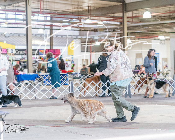 20240331-DSC05893