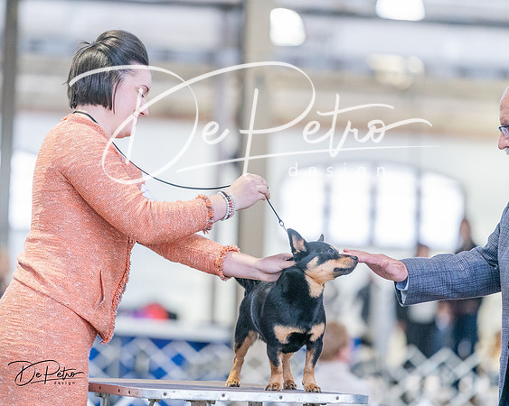 20240331-DSC05915