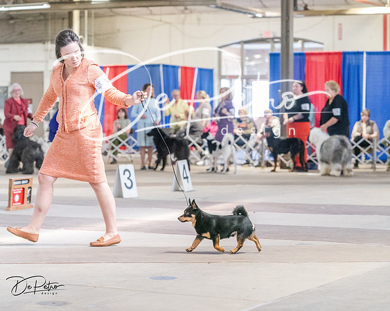 20240331-DSC05923