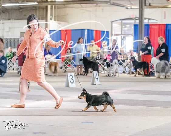20240331-DSC05926