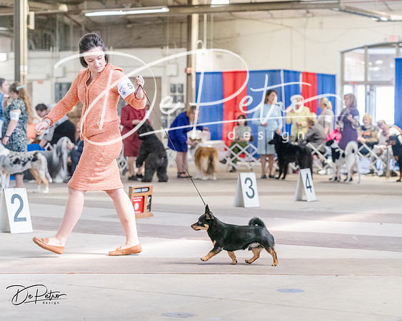 20240331-DSC05932
