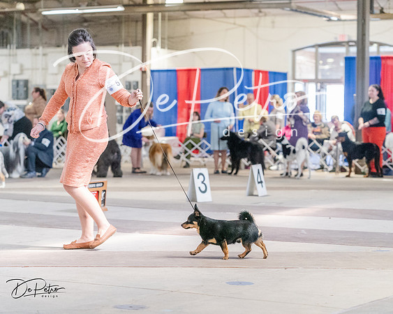 20240331-DSC05929