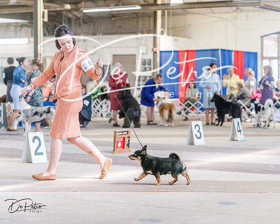 20240331-DSC05935