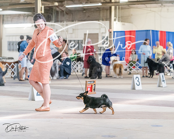 20240331-DSC05938