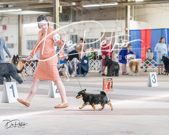 20240331-DSC05941