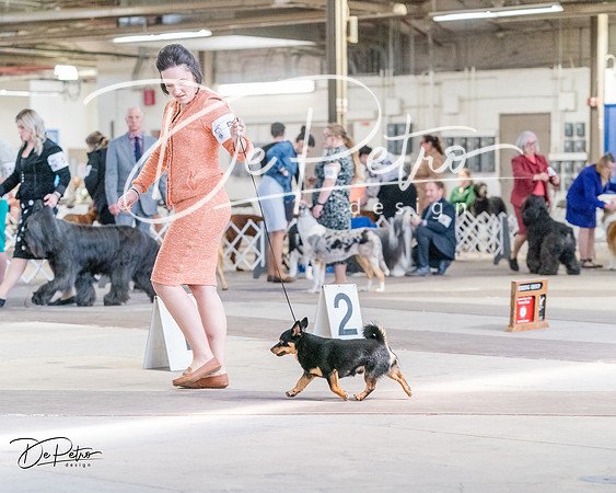 20240331-DSC05947