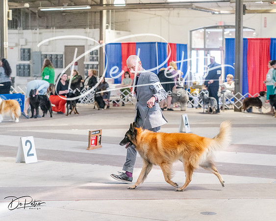 20240331-DSC05224
