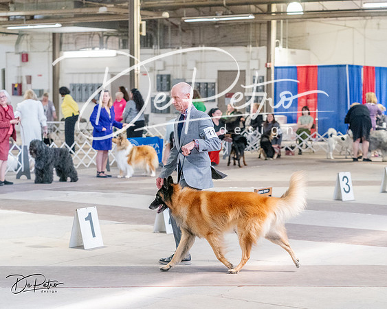 20240331-DSC05232