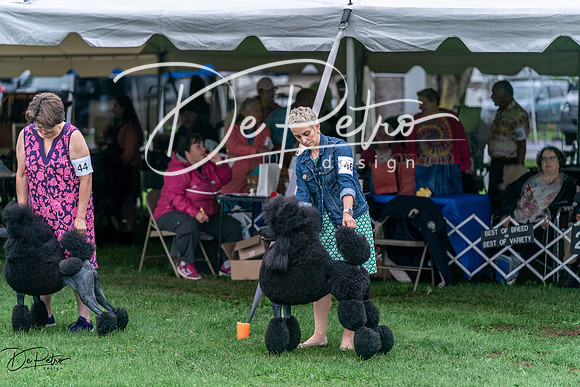 20240629-DSC05710