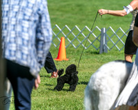 20250629-DSC01028