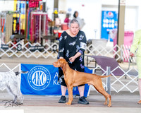20240331-DSC06446