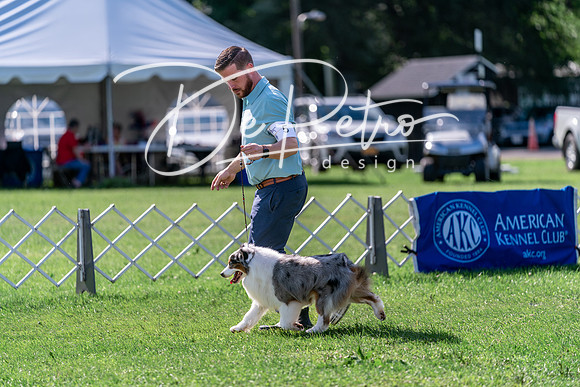 20240630-DSC04896