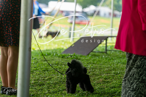 20240816-DSC00198