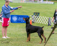 20250628-DSC07184