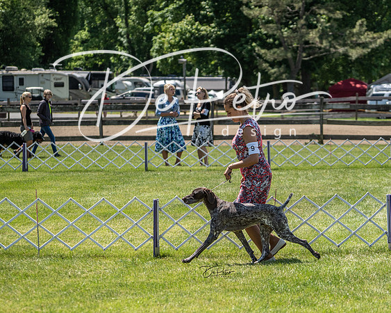 20190525-DSC03850