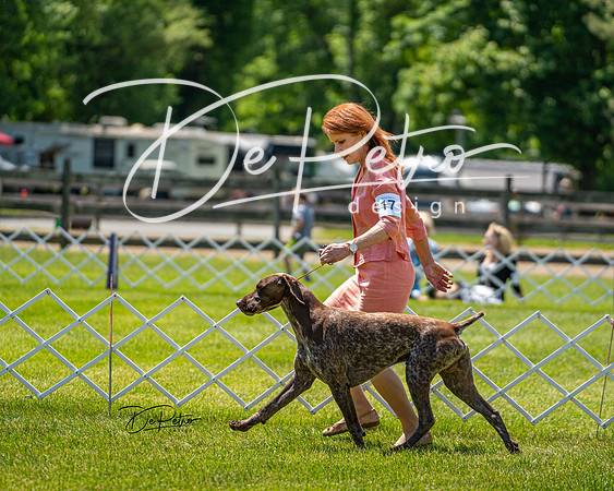 20190525-DSC03881