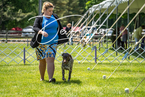 20190525-DSC03913