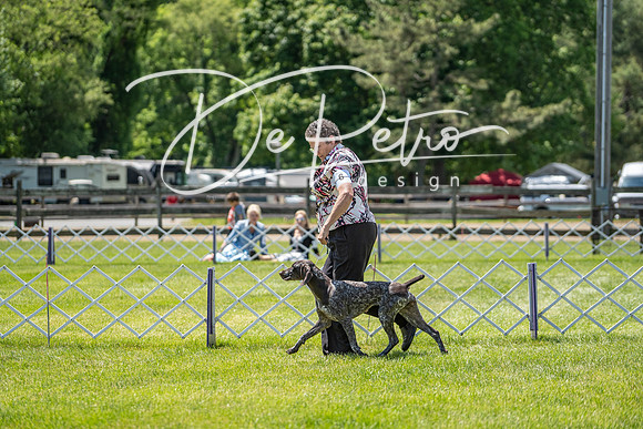 20190525-DSC03895