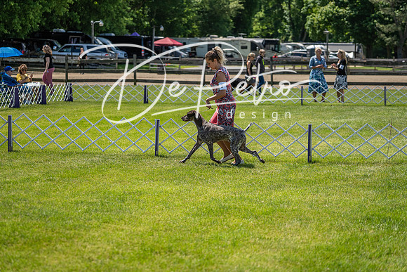 20190525-DSC03858