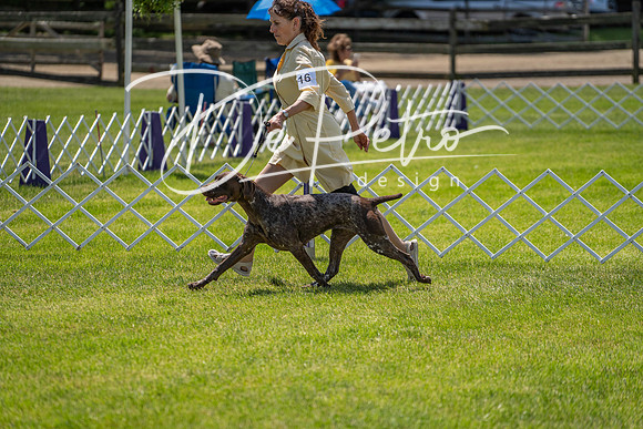 20190525-DSC03837