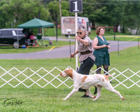 20250628-DSC07341