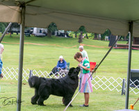 20250626-DSC04135