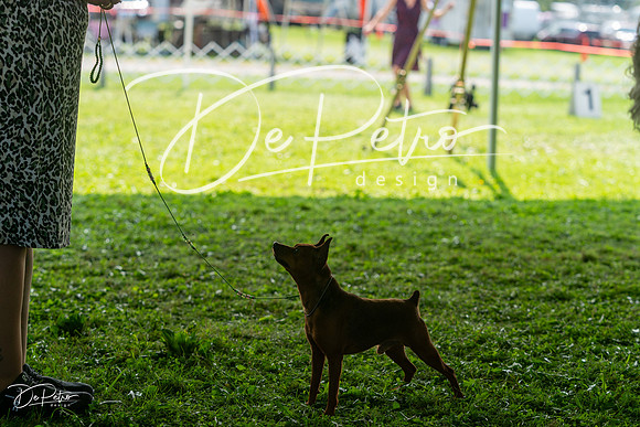 20240816-DSC00262