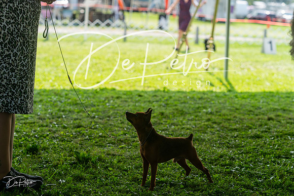 20240816-DSC00263