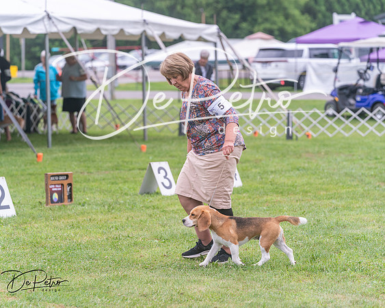 20250626-DSC04547