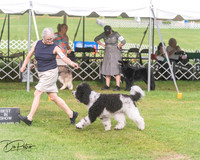20250628-DSC08914