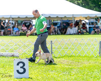 20240630-DSC02500