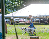 20240630-DSC02439