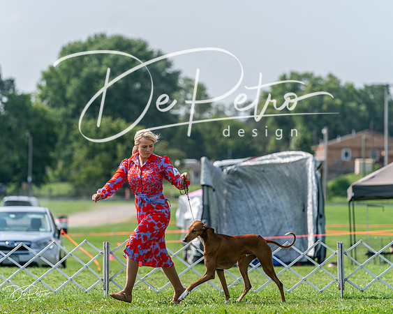20240816-DSC00614