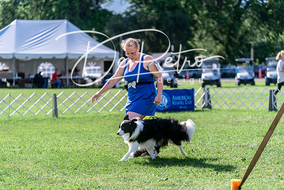 20240630-DSC04758