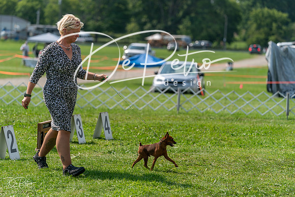 20240816-DSC00347