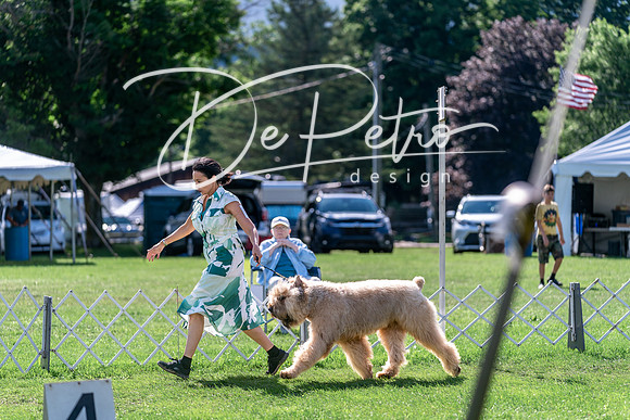 20240630-DSC04852